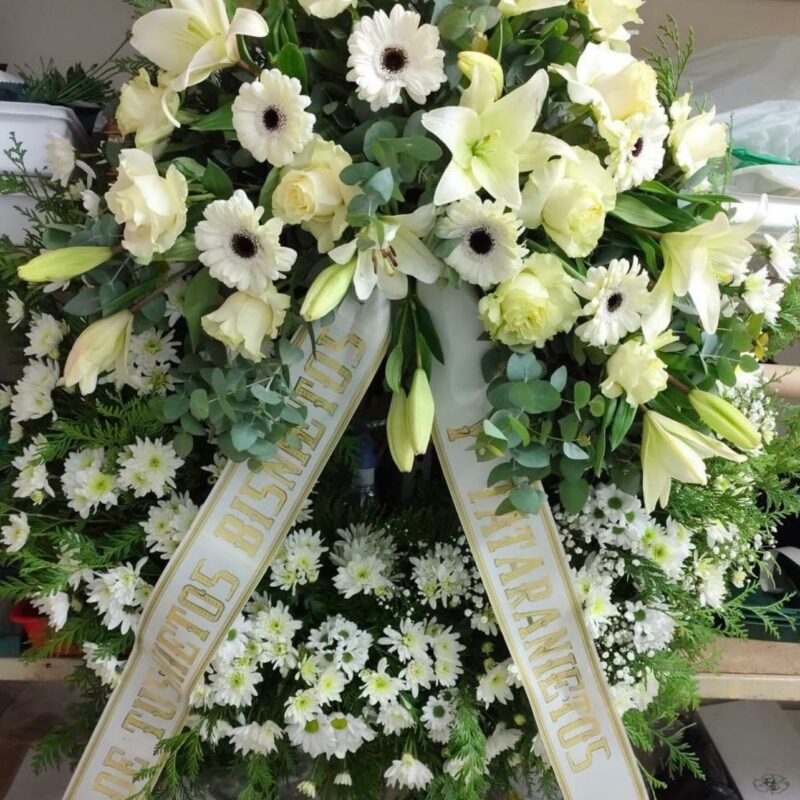 WhatsApp Image 2026-03-23 at 10.23.07